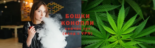 прущие грибы Алзамай