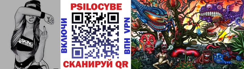Псилоцибиновые грибы Cubensis продажа наркотиков Зверево